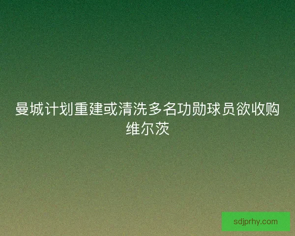 曼城计划重建或清洗多名功勋球员欲收购维尔茨